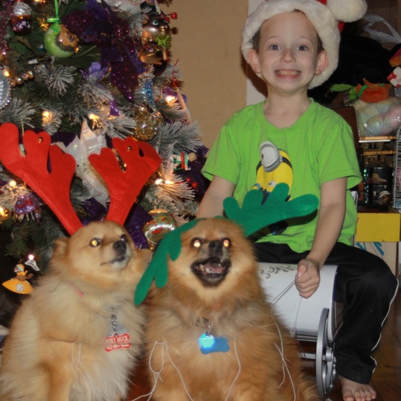 Meet your Posher, Susan - Picture 2 of 8